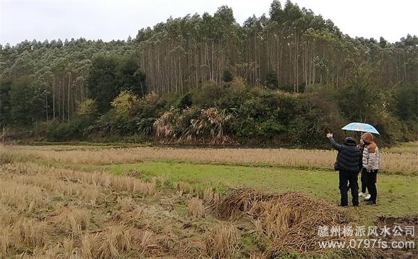 孝感市陈老师带着爱徒寻龙点穴